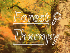 forest-therapy