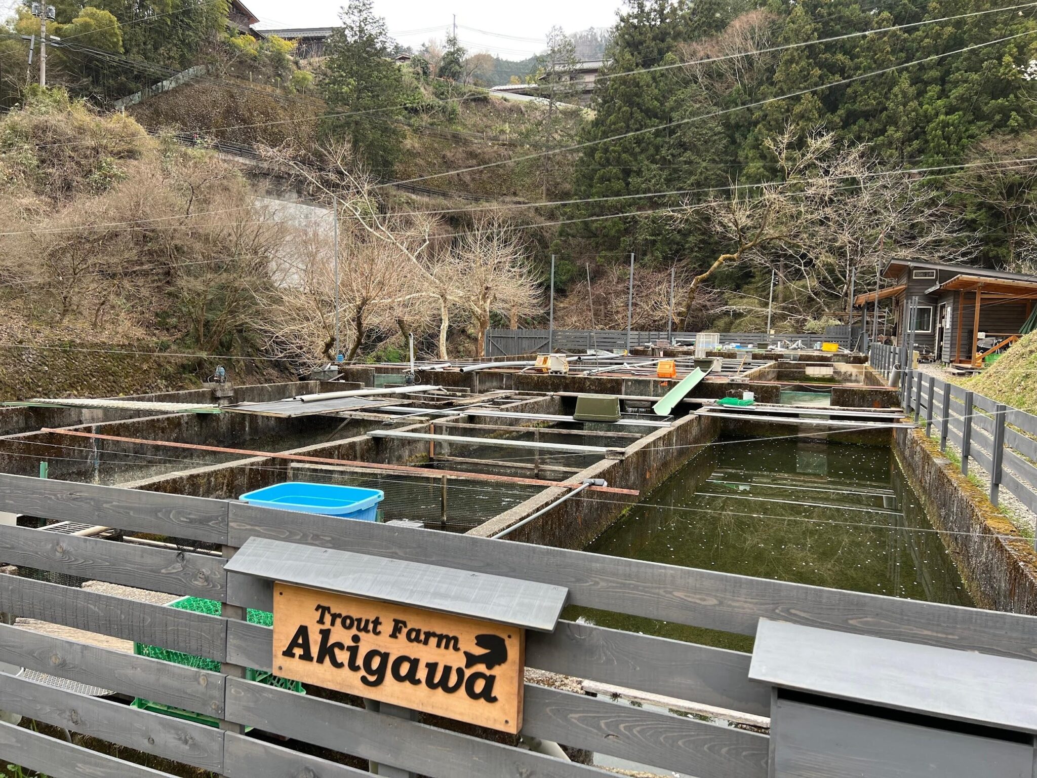 大自然の恵みを込めた秘境の釣り堀『トラウトファーム秋川』 檜原村観光協会