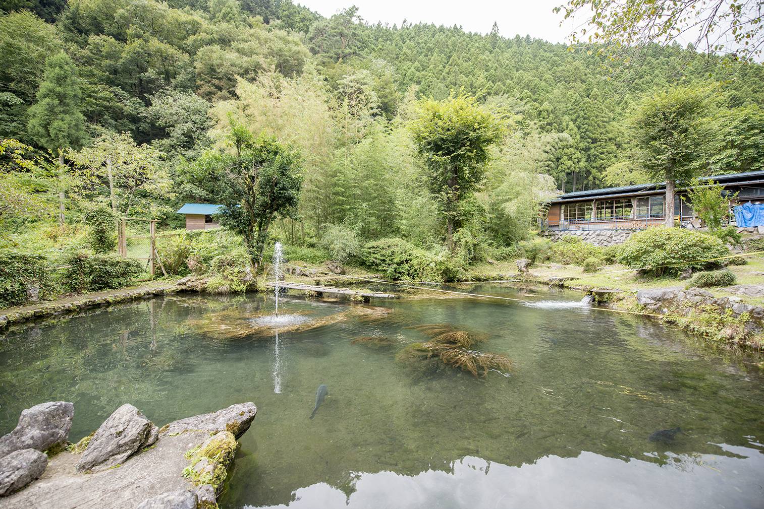 神戸園キャンプ場 神戸園マス釣場 檜原村観光協会